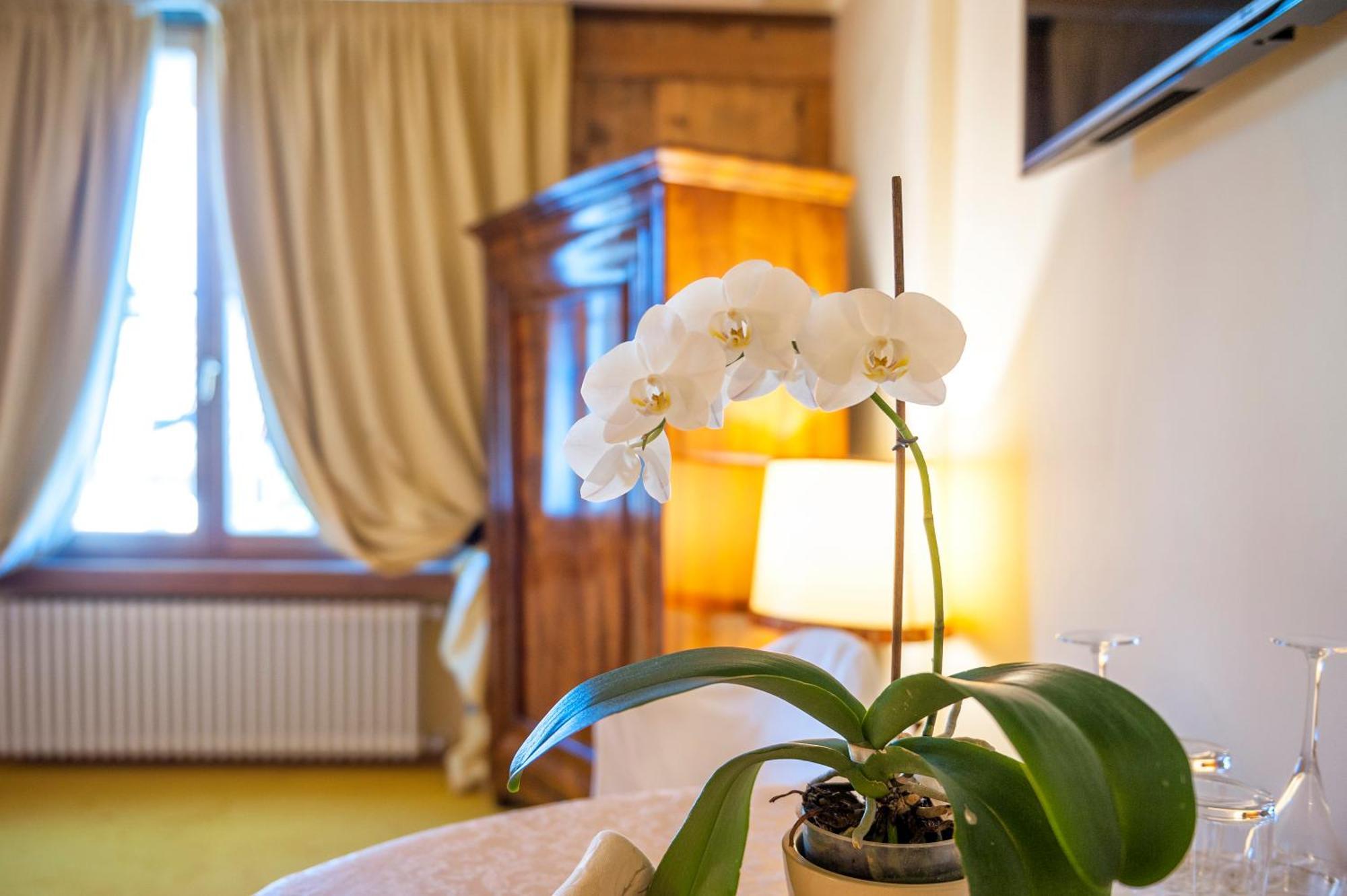 Villa Orso Grigio Ronzone Luaran gambar